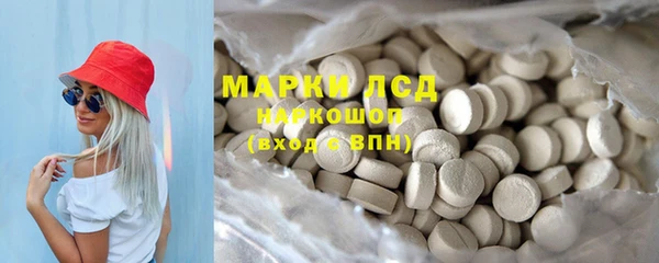 прущие грибы Арсеньев