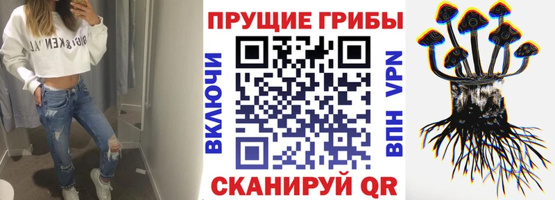 Галлюциногенные грибы GOLDEN TEACHER  Сарапул 